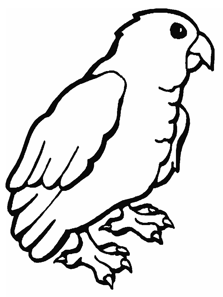 Kleurplaten Papagaai 